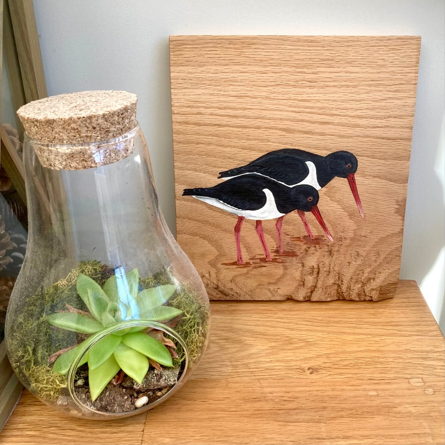 Oyster catcher wall art wooden painting
