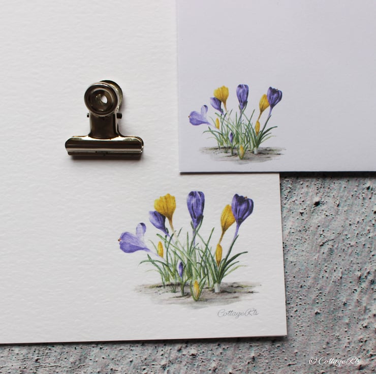 Crocus Flower Letter Writing Paper Hand Designe... - Folksy