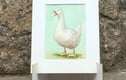 Original Artwork - Smaller Work