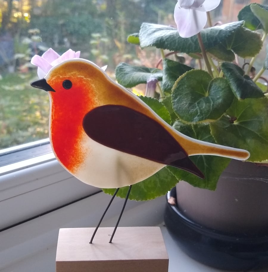 Fused glass robin on wooden stand