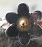 Sterling Silver Flower Ring with 18ct Yellow Gold Accent - Image 9