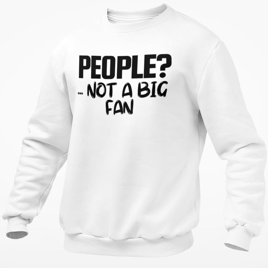 People? Not A Big Fan Jumper Sweatshirt Introvert Friend Sassy Saying Pullover 