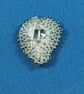 Tiny White Beaded Brooch  - Image 2