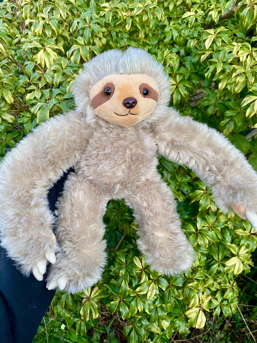 4lb Weighted Sloth Plush Toy