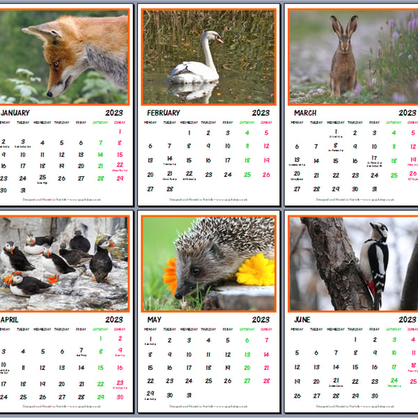 British Wildlife Calendar 2023 Each Page A4 size 