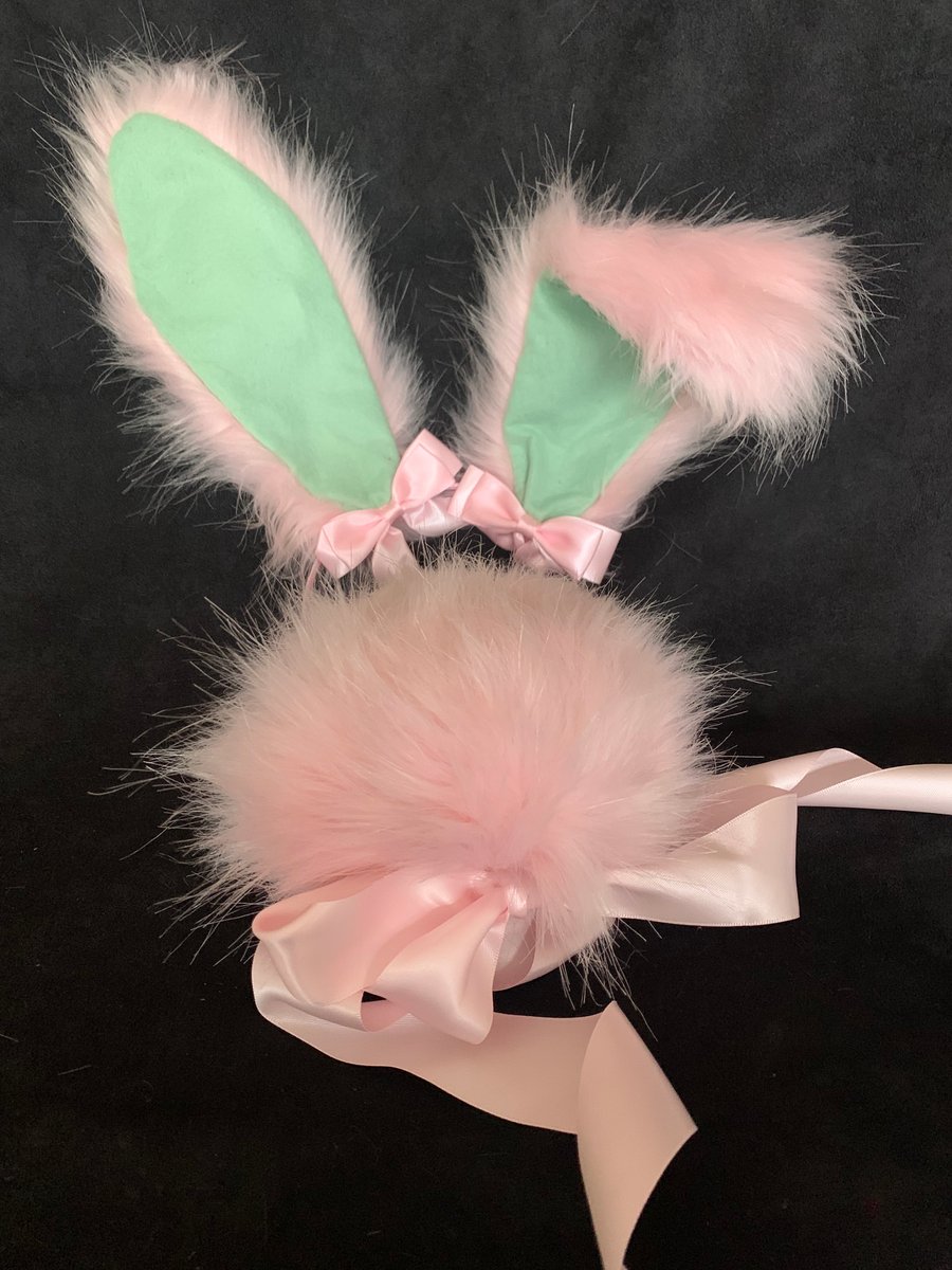 Bunny Costume play Set