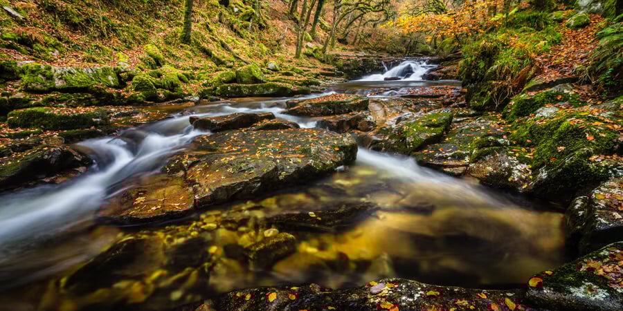 Cadover Bridge, River Plym, Dartmoor - autumn view panoramic photo print