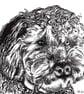 Cockapoo Dog Print - cockapoo gift, dog dad, dog mum, cockerpoo, - Image 6