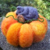 Sleeping Halloween Cat and Pumpkin - Needle Felted - Autumn                    