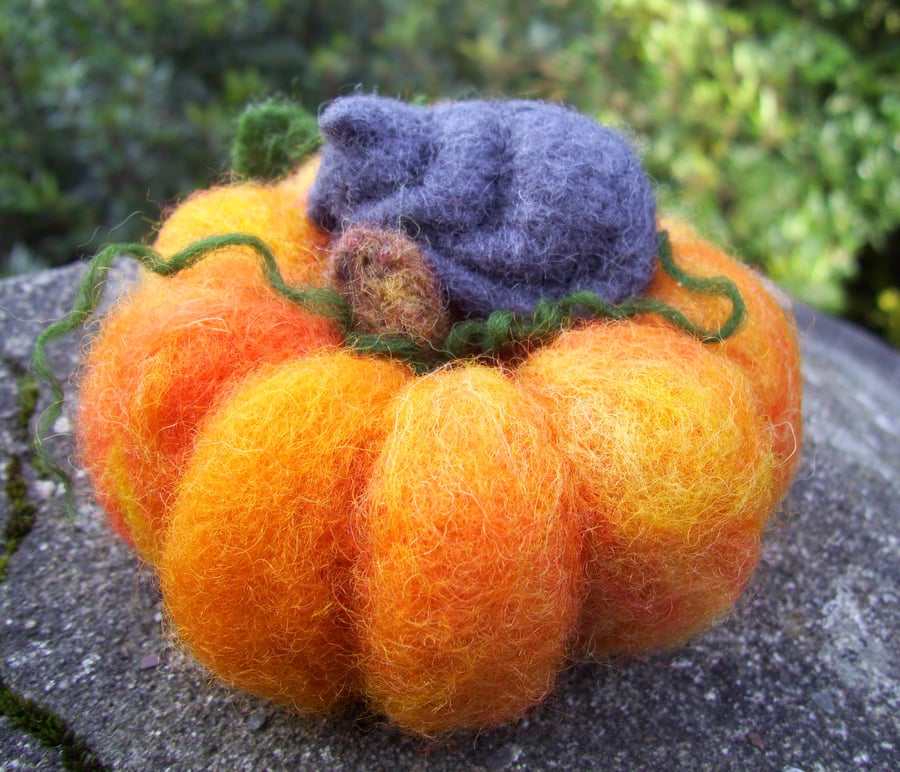 Sleeping Halloween Cat and Pumpkin - Needle Felted - Autumn                    