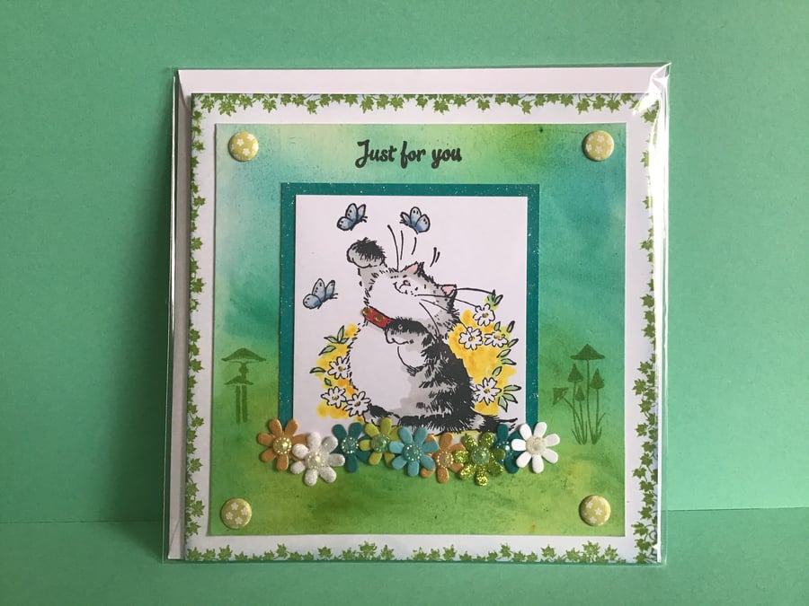 Cute Cat Birthday Card