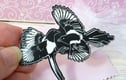 Brooches and Pins