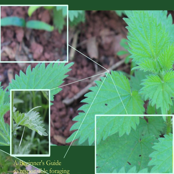 (Book) Foundations of Conscious Foraging 