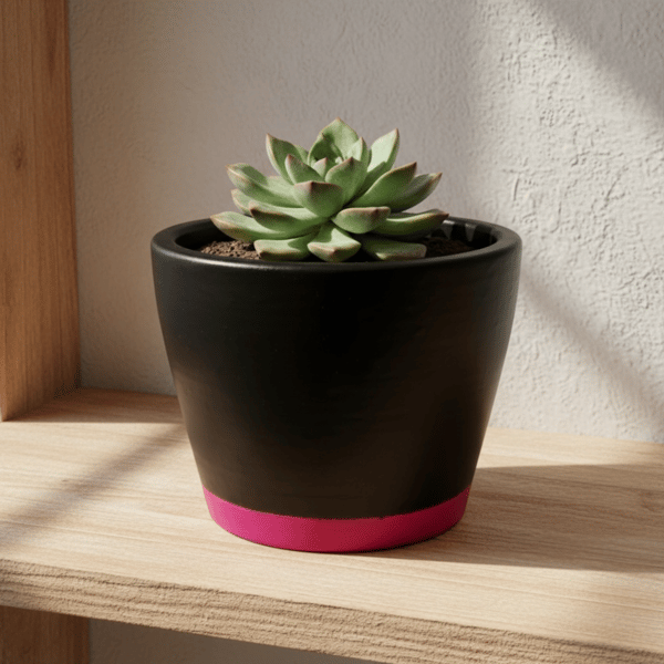 10 cm Tapered Black and Pink Plant Pot for Succulents or Small Houseplants