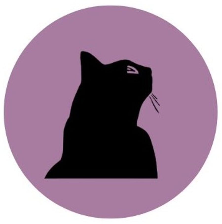 The Velveteen Cat