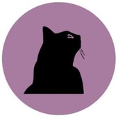 The Velveteen Cat