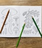A Walk in the Forest - Adult Colouring Book - Image 4