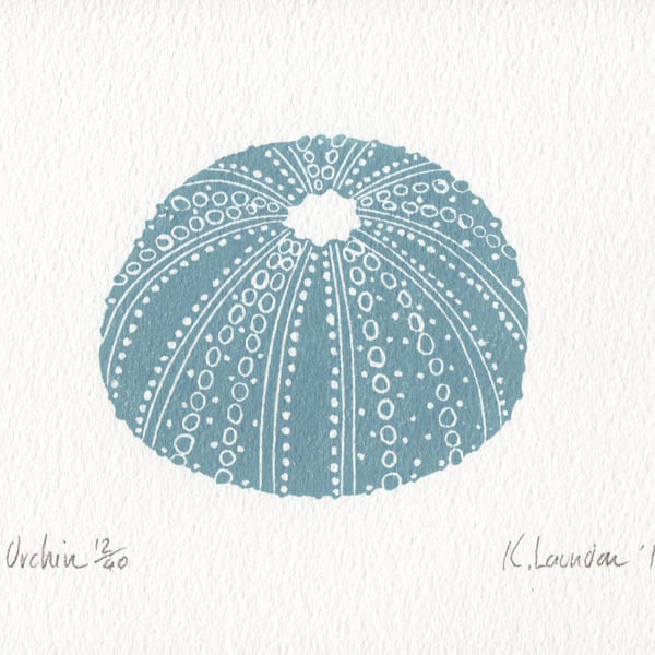 Urchin Blue-Grey: Lino Print (FREE UK POSTAGE)