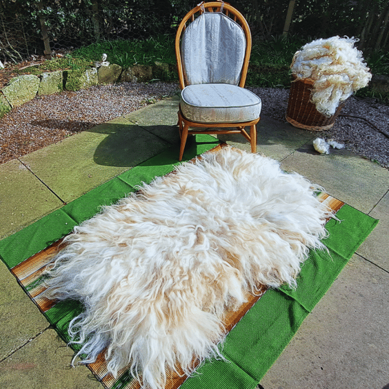 Pure wool rug Hand-Felted Ryeland x Valais Blacknose sheep wool