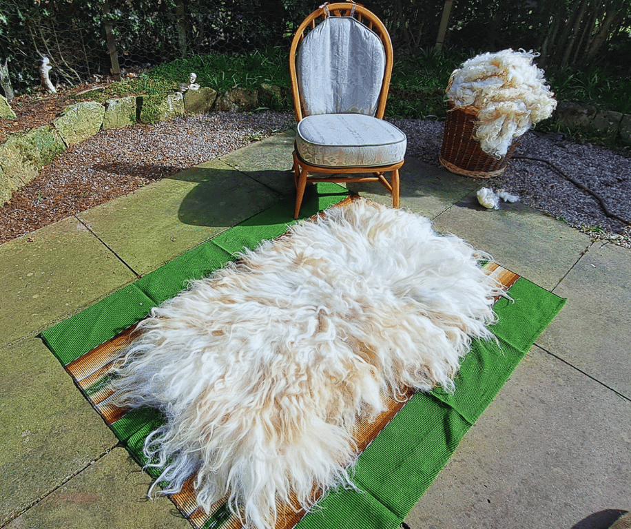 Pure wool rug Hand-Felted Ryeland x Valais Blacknose sheep wool