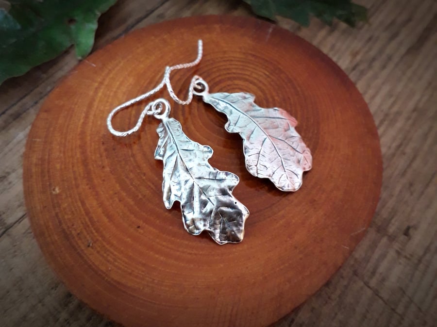 Real Oak Leaves - Silver Earrings 