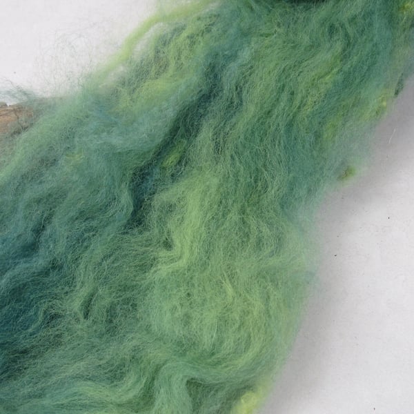 10g Naturally Dyed Indigo Green BFL Shetland Felting Wool