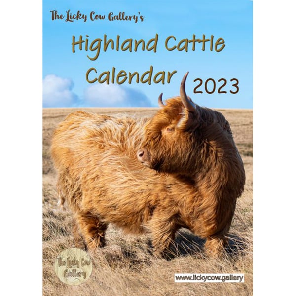 Highland Cattle 2023 Calendar A4 wire bound wit... - Folksy