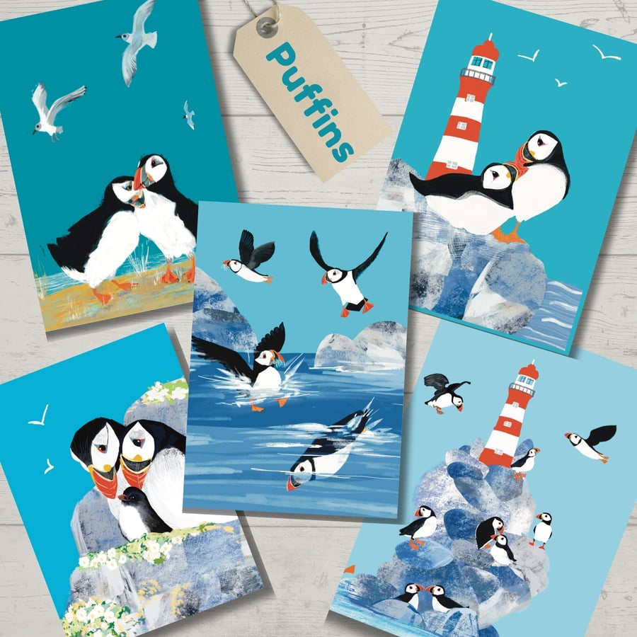 Puffins Blank card pack all occasions 