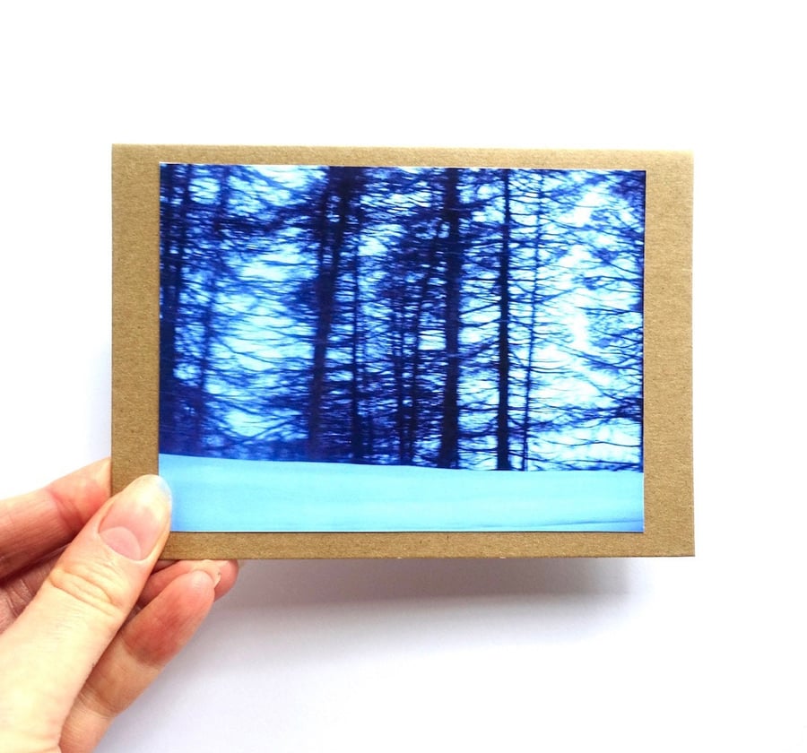 Blue Forest Cards - READY TO SHIP