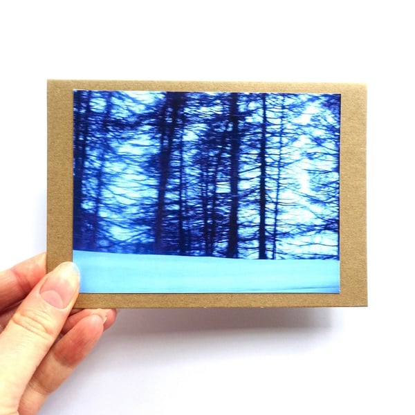 Blue Forest Cards - READY TO SHIP