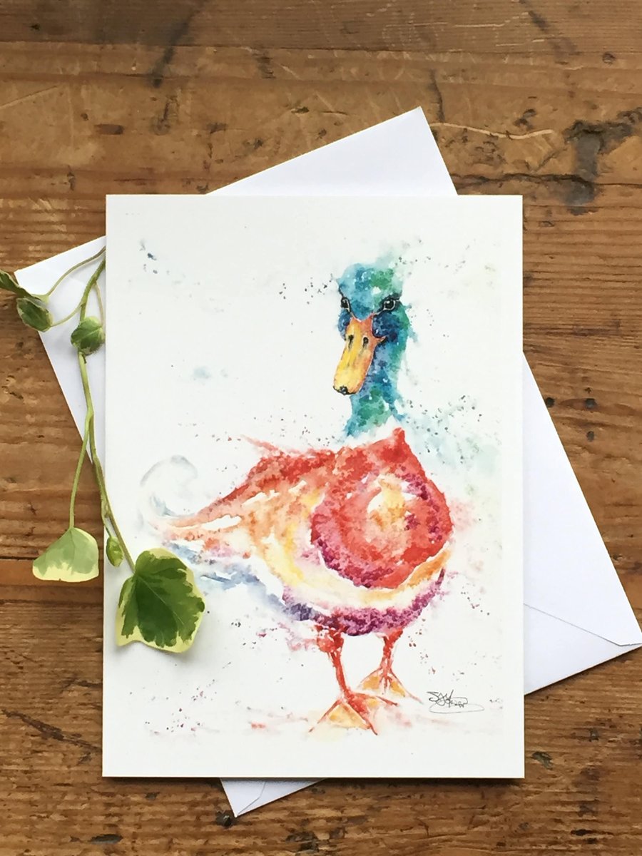 Mallard Duck Card, A watercolour Art Card, A5 size on Satin Card with Envelope 