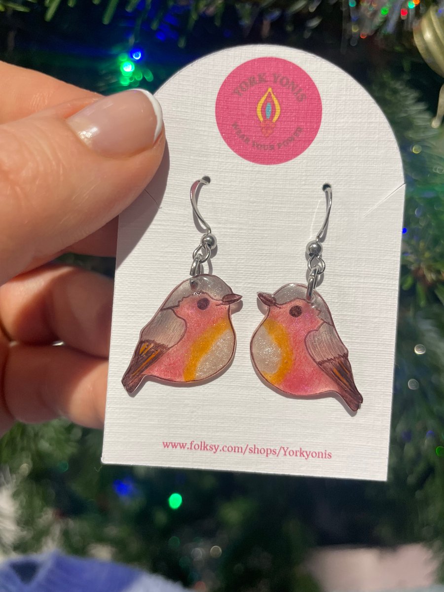 Cute Christmas Robin Earrings
