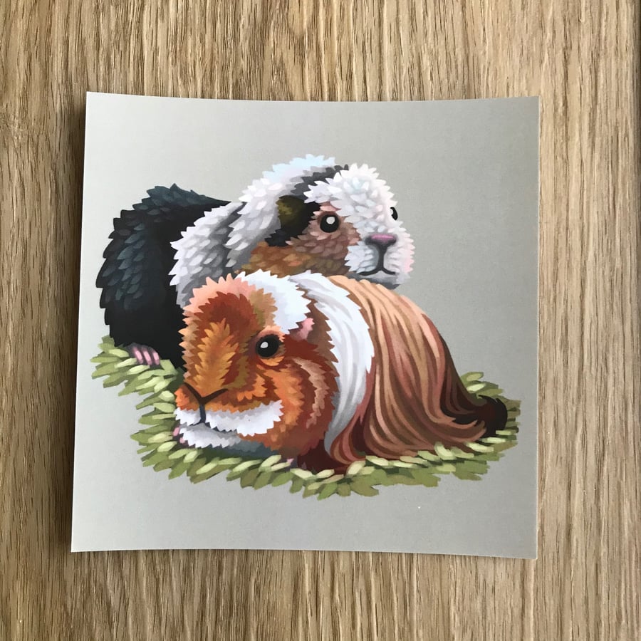 Guinea Pigs Square Post Card Print