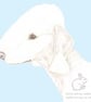 Roxy the Bedlington Terrier on Blue - Blank Card - Image 1