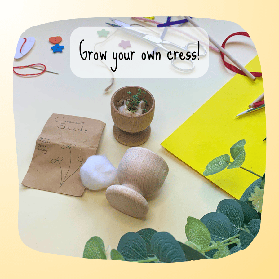 Grow Your Own Cress Seeds, Cress Growing Kit, E... - Folksy