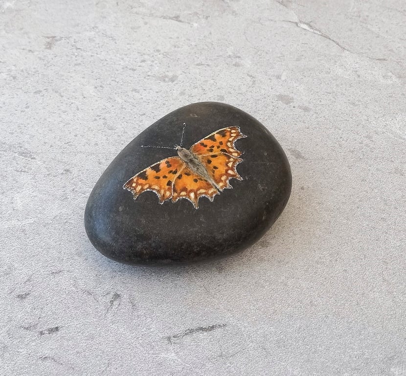 Butterfly Art Hand Painted Stone 'Comma Butterfly'