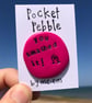 You Smashed It!  Celebration Pocket Pebble - Image 1