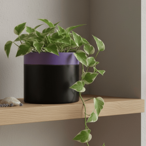 Large 15cm Round Black and Soft Lilac Two Tone Plant Pot