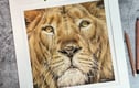 Fine Art Prints