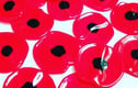 Poppy Collection