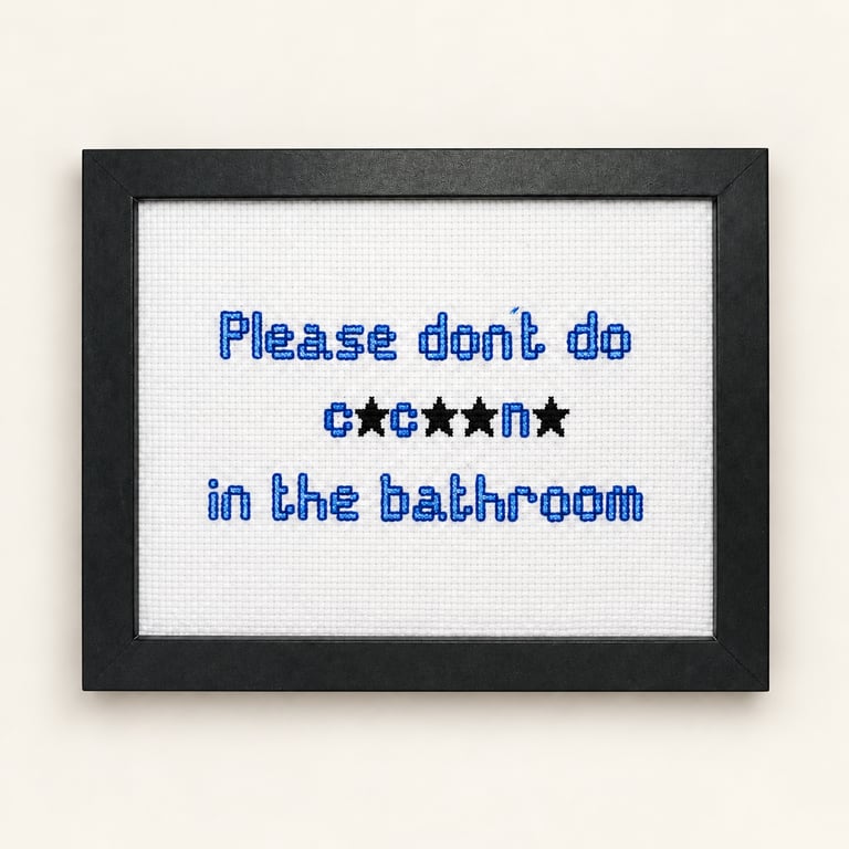 Funny Handmade Framed Cross-Stitch – Please Don't Do C.c..n. in the Bathroom 