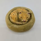 Yorkshire Pudding Cat - Ginger in Green Bed