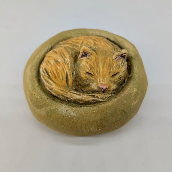 Yorkshire Pudding Cat - Ginger in Green Bed