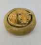 Yorkshire Pudding Cat - Ginger in Green Bed - Image 1
