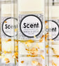 Refresh & Detox Snap Bar Wax Melts