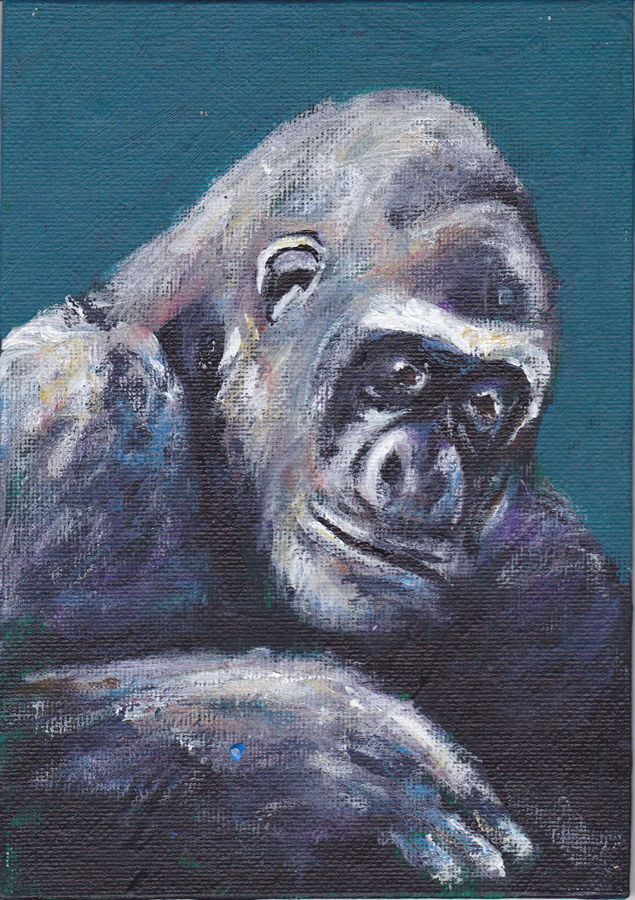 Animal Art Gorilla Calm Original Acrylic Painting on Canvas Board OOAK 