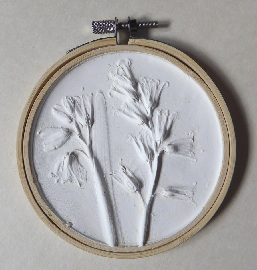 Plaster cast wall art - Spanish bluebells 