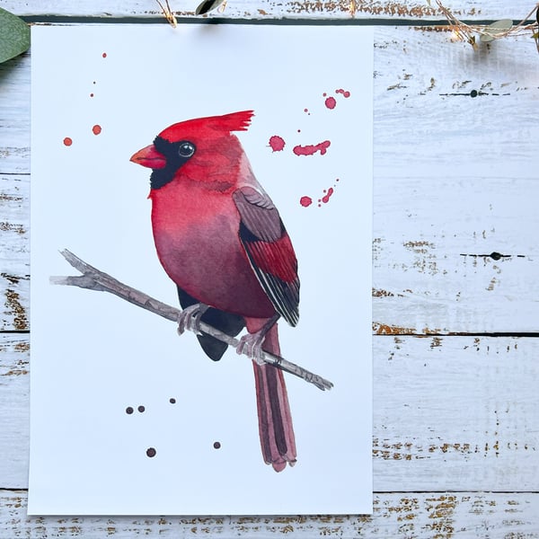 Cardinal watercolour print