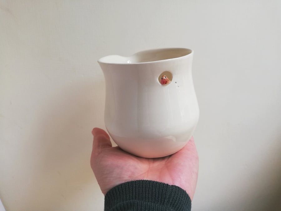 Ceramic handmade robin jug handleless pourer with miniature bird in cutout
