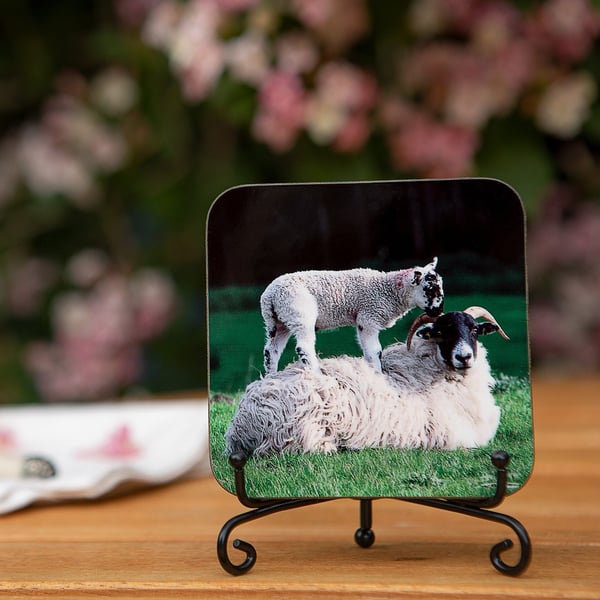 Sheep and Lamb Wooden Coaster - Original Animal Photo Gifts - Wildlife Scene Coa